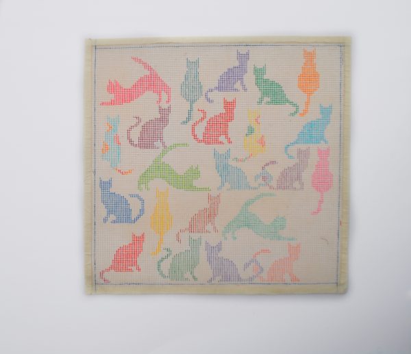 Gatitos multicolor